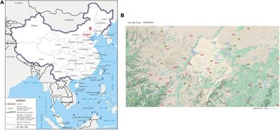 Characteristics of Bacterial Microbiota in Different Intestinal Segments of Aohan Fine-Wool Sheep